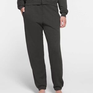 NWT Skims French Terry Jogger Color Ash